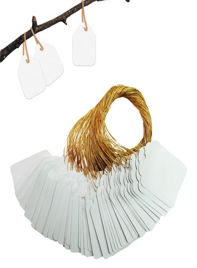 BEADNOVA Plant Hanging Tags 100pcs Tags with String Reusable Plant Labels Markers Plastic Garden Signs Garden Markers for Outdoor (2 Inch, White) - Image 1